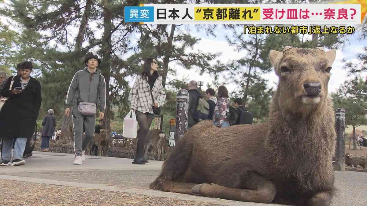 1泊20万円はざら　京都から日本人が消える…受け皿は高市首相の地元、奈良　でも夜7時には人がいない...「夜早すぎ問題」克服がカギ