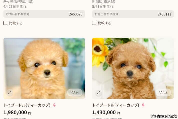 ペットの殺処分がなくならない“本当の理由”は「飼ってはいけない人たちに無理やり売りつける仕組みが」