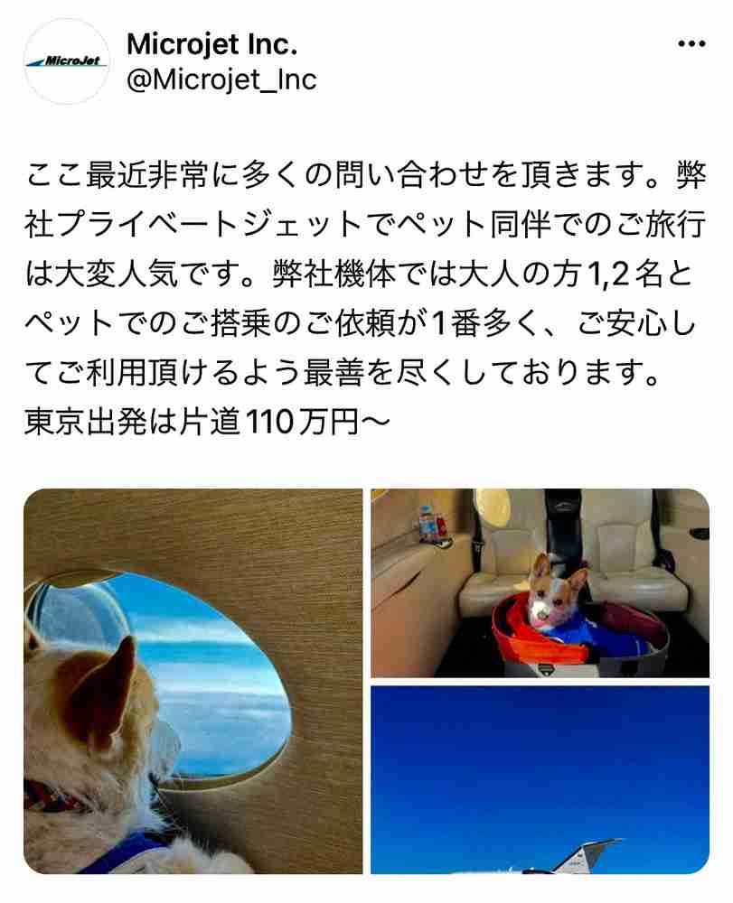 ペット問題に航空運送会社「多くの問い合わせ頂きます」SNSでプライベートジェット紹介し大反響　費用は
