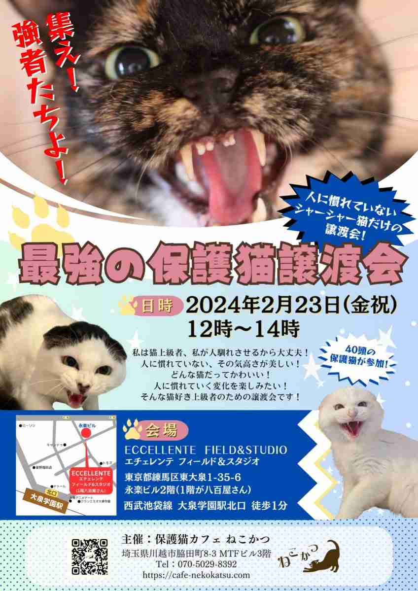 「集え！強者たちよ」甘えん坊、抱っこ好きな猫は一匹もいない、シャーッ！する子だけの「最強の保護猫譲渡会」が斬新