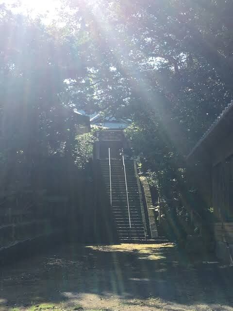 本当に神様がいる神社