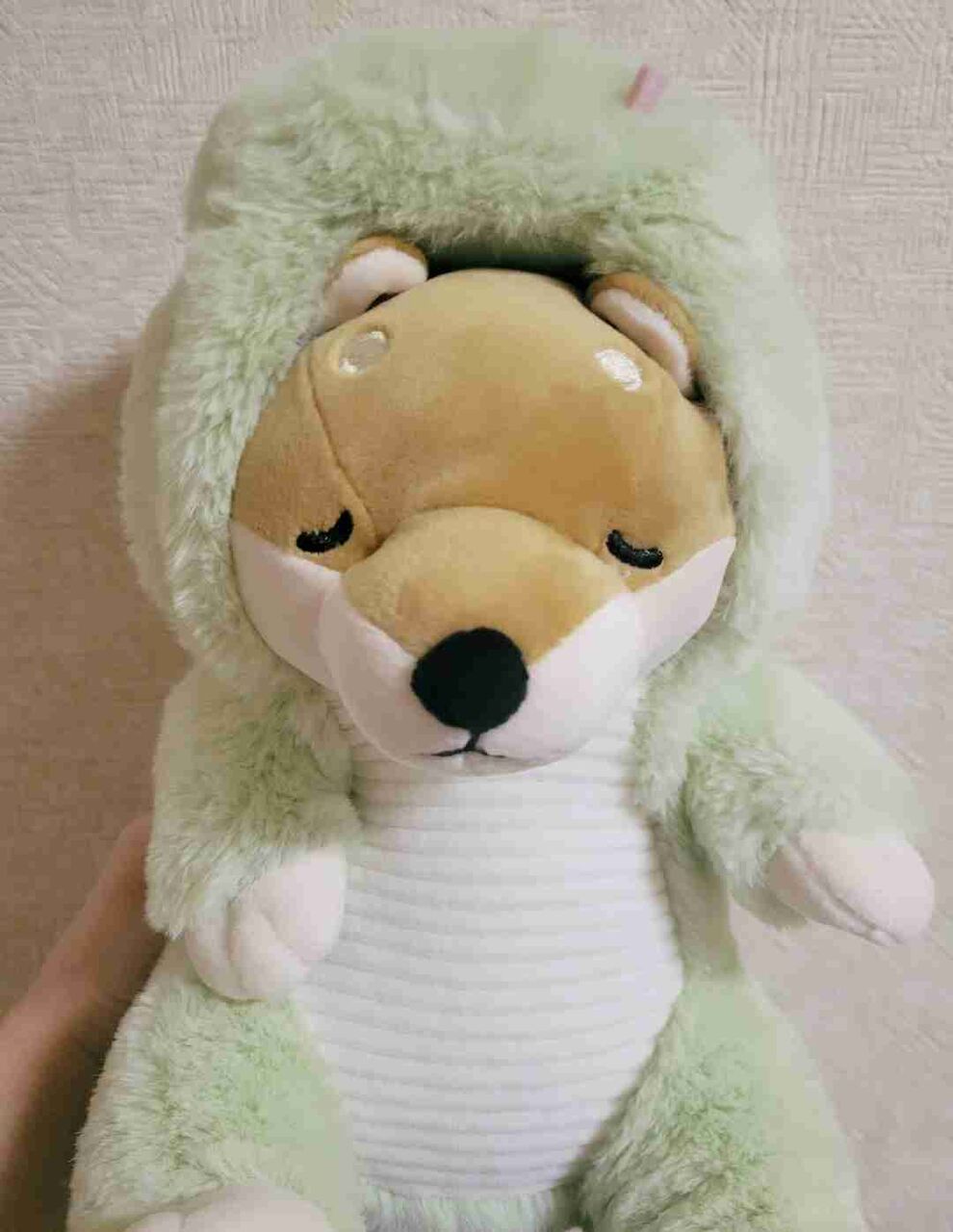 最近買ったぬいぐるみ見せて！