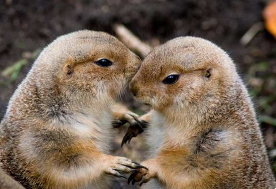 一番好きな人とは結婚できない