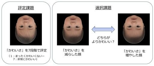「赤ちゃんの顔は“逆さま”に見てもかわいい」理由が判明…大人だと違和感があるのになぜ？顔の魅力を研究者に聞いた