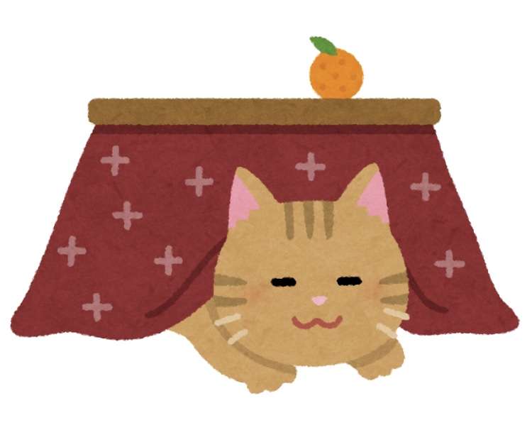 猫ちゃんのおもしろエピソード教えてください