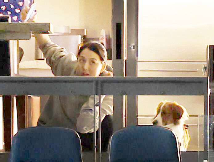 大谷翔平の妻・真美子さんが愛犬・デコピンと今季５度目の現地観戦　大谷の適時打に身を乗り出して喜ぶ