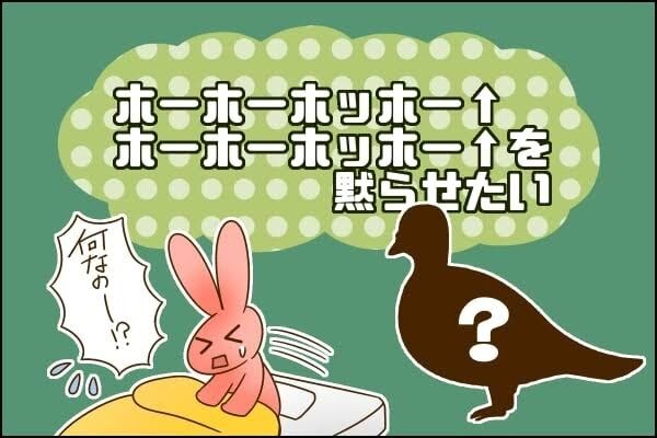 キジバト ホーホーホッホー