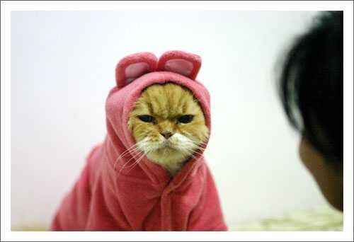 個人的になんか変と思ってること