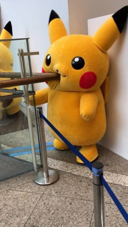 ひたすら着ぐるみの画像が見たい