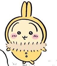 【ちいかわ】うさぎを語りたい！