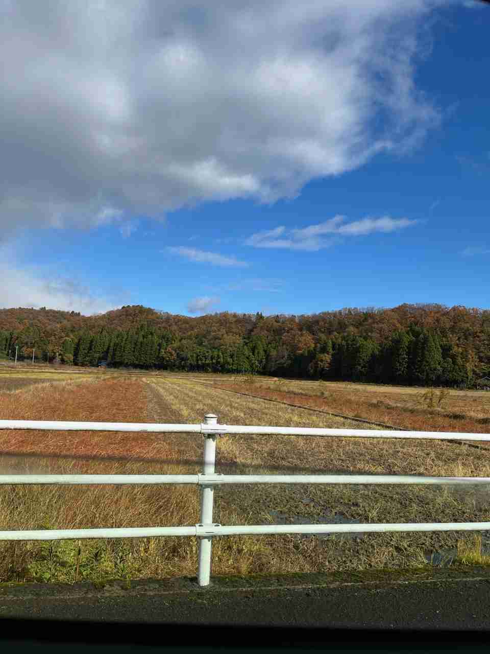家の周りの風景見せてください。（身バレしないように気をつけてください）