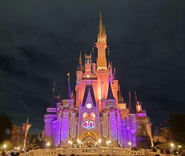 TDR特典「ガーランドシール」新品で大量転売…出品者に疑いの目　オリエンタルランドも事態把握、対応は？