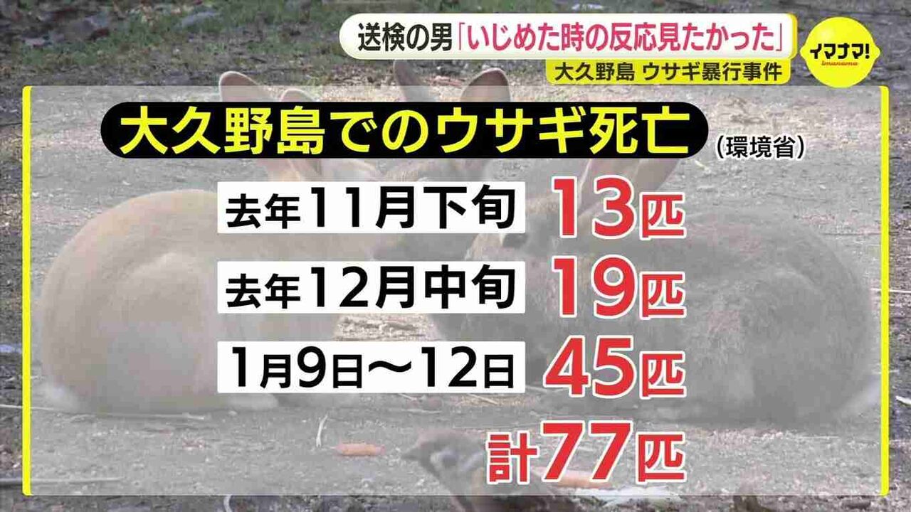「『うさぎが可愛くてやった』と支離滅裂なことを…」男を取り押さえた写真家夫婦が語る一部始終　うさぎを蹴った男　“うさぎの島”でのウサギ大量死に関与の可能性　広島・大久野島