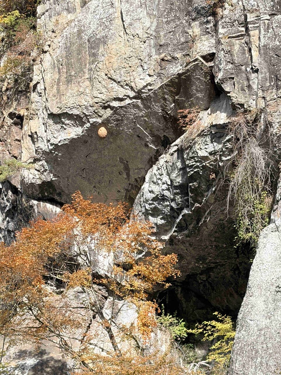 三連休どうでしたか？