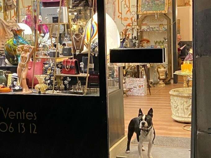 「フランス人はよいものを何年も着る」は本当？おしゃれでいるためのシンプルなルール