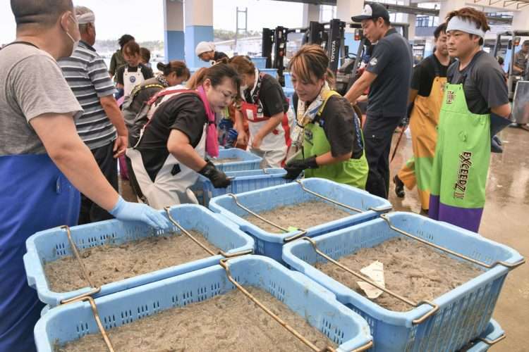【福島現地ルポ】漁師たちが処理水放出に反発する中国に冷静反論「食いたくねぇなら結構」「自分の首締めてるのがわかんねえのか」