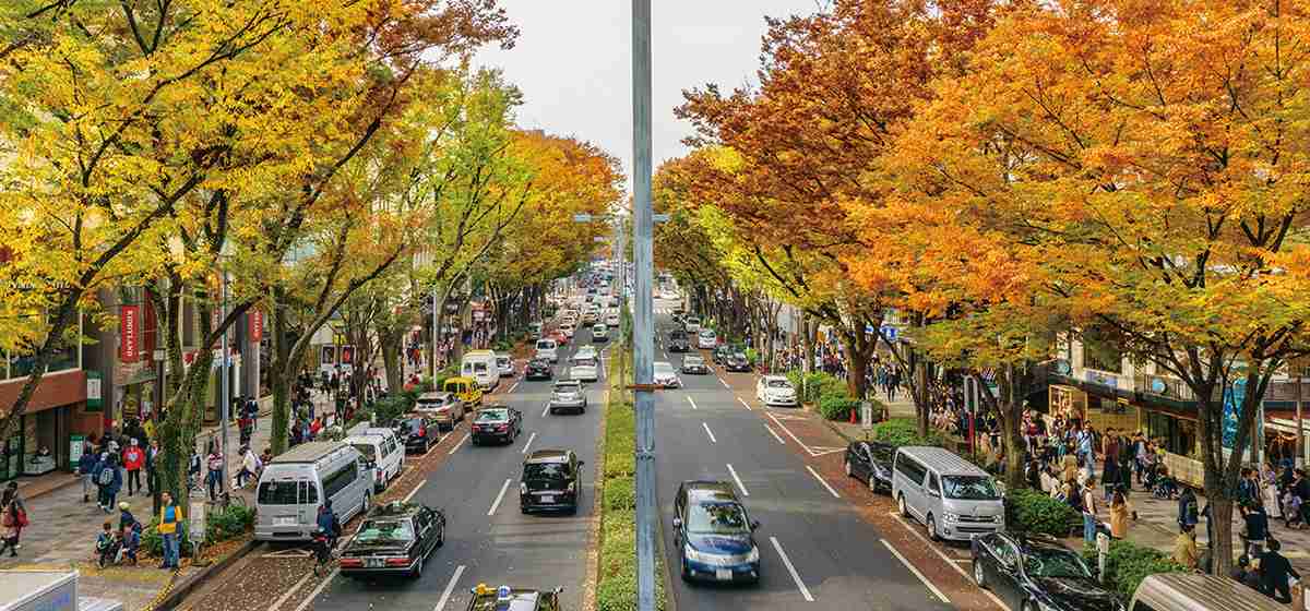 東京の「青山通り」について語るトピ。