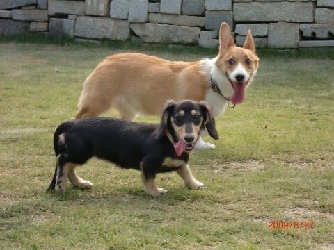 ファンを大切にしている芸能人のエピソード