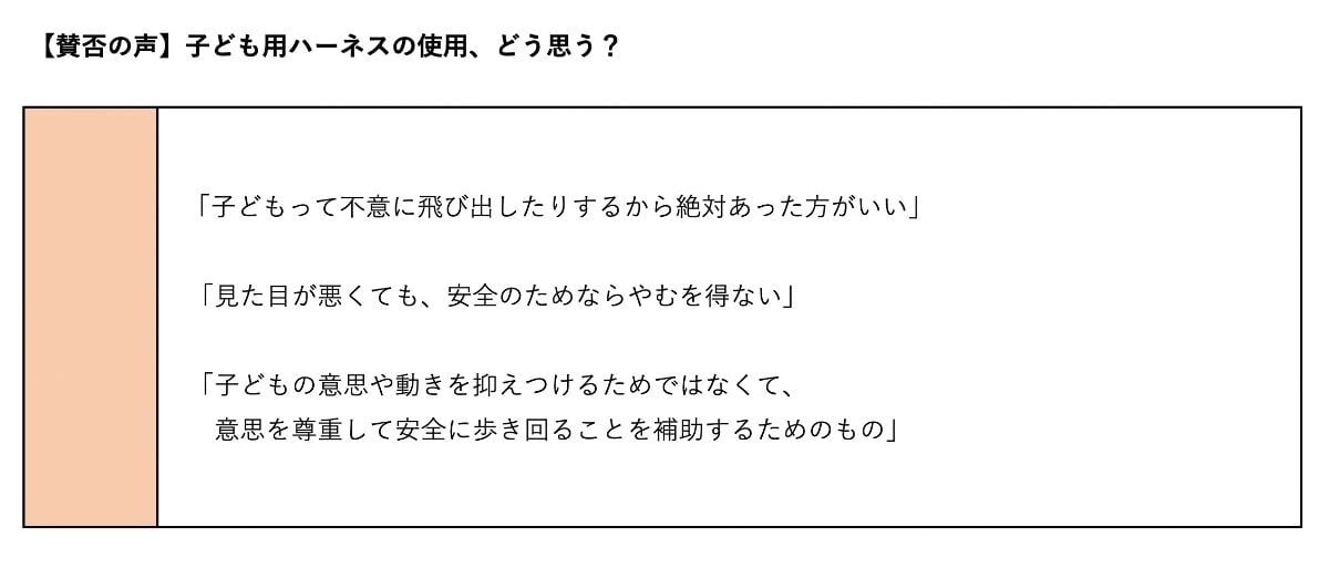 【賛否】今なお続く「子ども用ハーネス」論争…親同士で“苦言”も「ハーネスつけて目を離す親は迷惑」