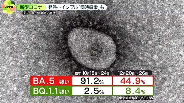 「ワクチン打ってもすり抜ける」――コロナ新系統“BQ.1.1”へ置き換わり　国内感染「3000万人超」…インフルと同時感染も