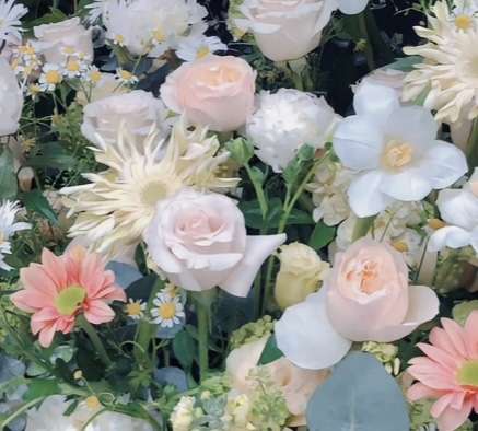 【限界】統合失調症の家族がいる方【助けて】