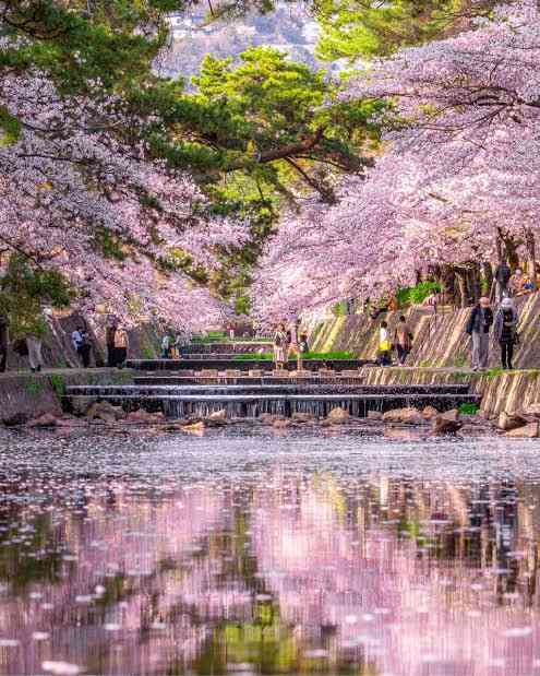 関西の住みたい憧れの街️