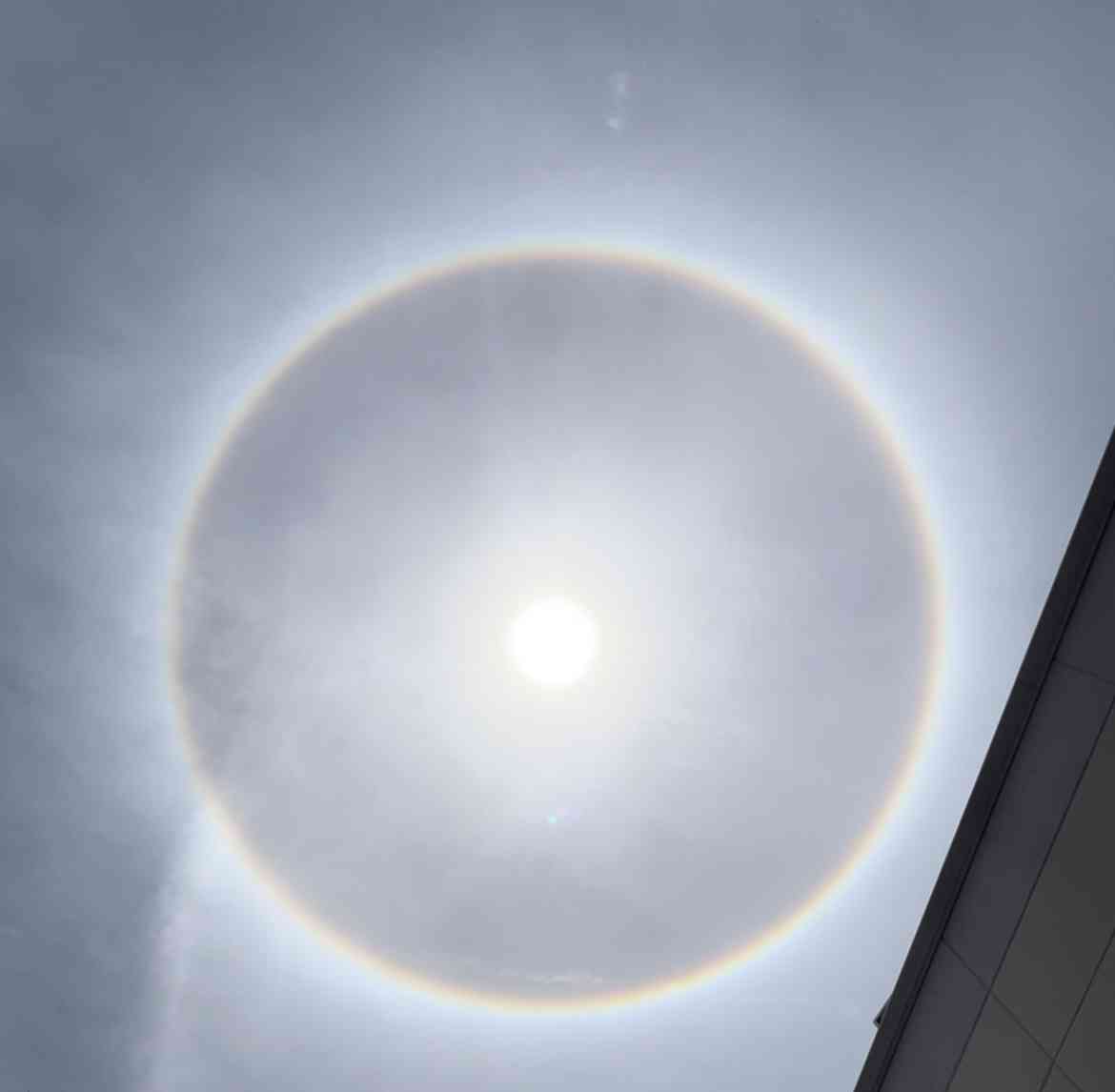 最近撮った写真見せてください。