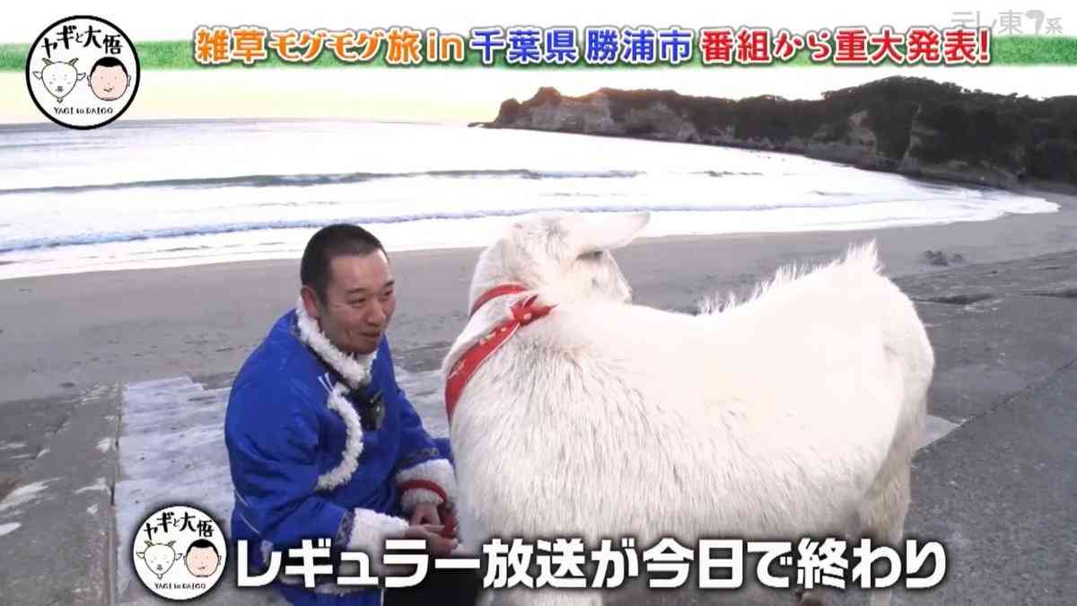 テレ東「ヤギと大悟」突然終了、千鳥の大悟「2日前に聞いた　金曜ゴールデンは厳しかったぞ」