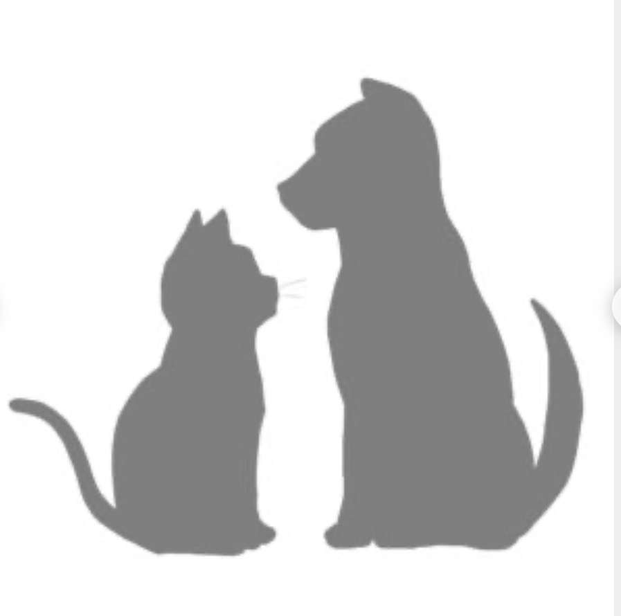 亡くなったペットとの思い出を教えて