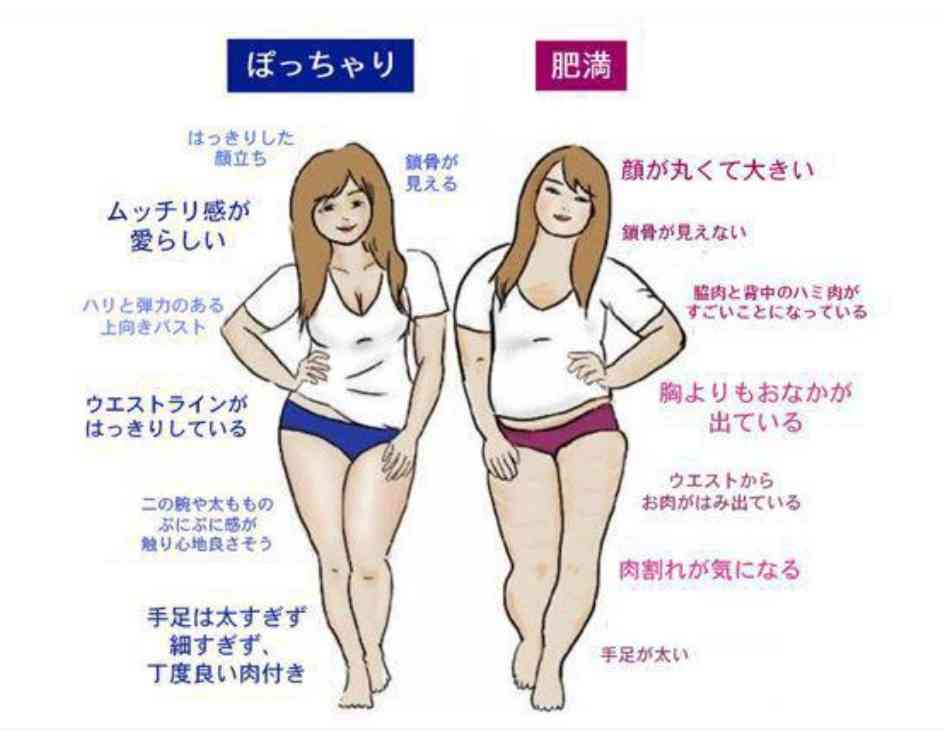 太ってるのはいけない事なの 女性のための恋愛 結婚情報を発信するためのブログ 太ってるのはいけない事なの 女性のための恋愛 結婚情報を発信するためのブログ
