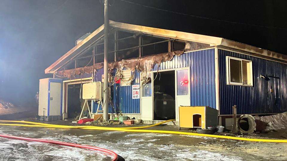 「牛舎が燃えている」深夜の消火活動…乳牛40頭以上が焼け死ぬ　大手コンビニの牛乳生産する牧場　豊富町