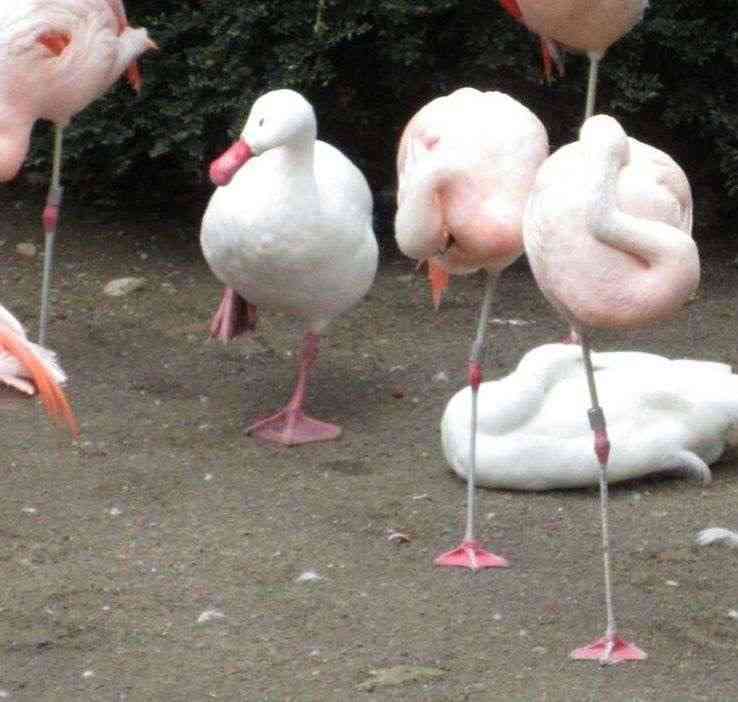 優しい気持ちになれる画像