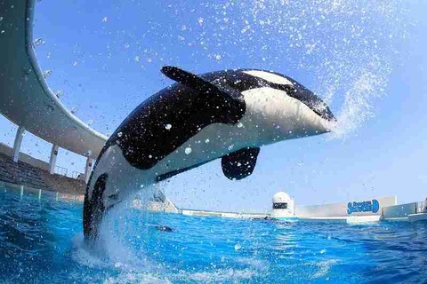 値上げ・物価高についていけなくなった瞬間