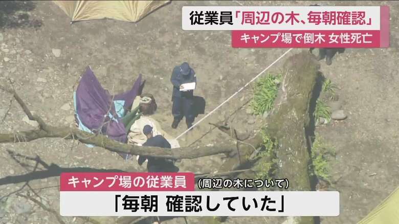 【続報】キャンプ場従業員「周辺の木は毎朝確認していた」根元腐っていたか…倒木で下敷き　29歳女性死亡