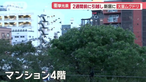 カニエ・ウェスト、“見せたがり”の妻と破局か　周囲に「離婚して日本に住みたい」ともらす