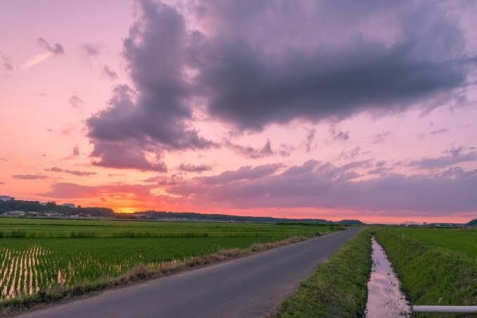ノスタルジーを感じる写真を貼っていくトピ