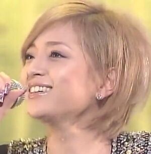 中高生のとき好きだった芸能人は？