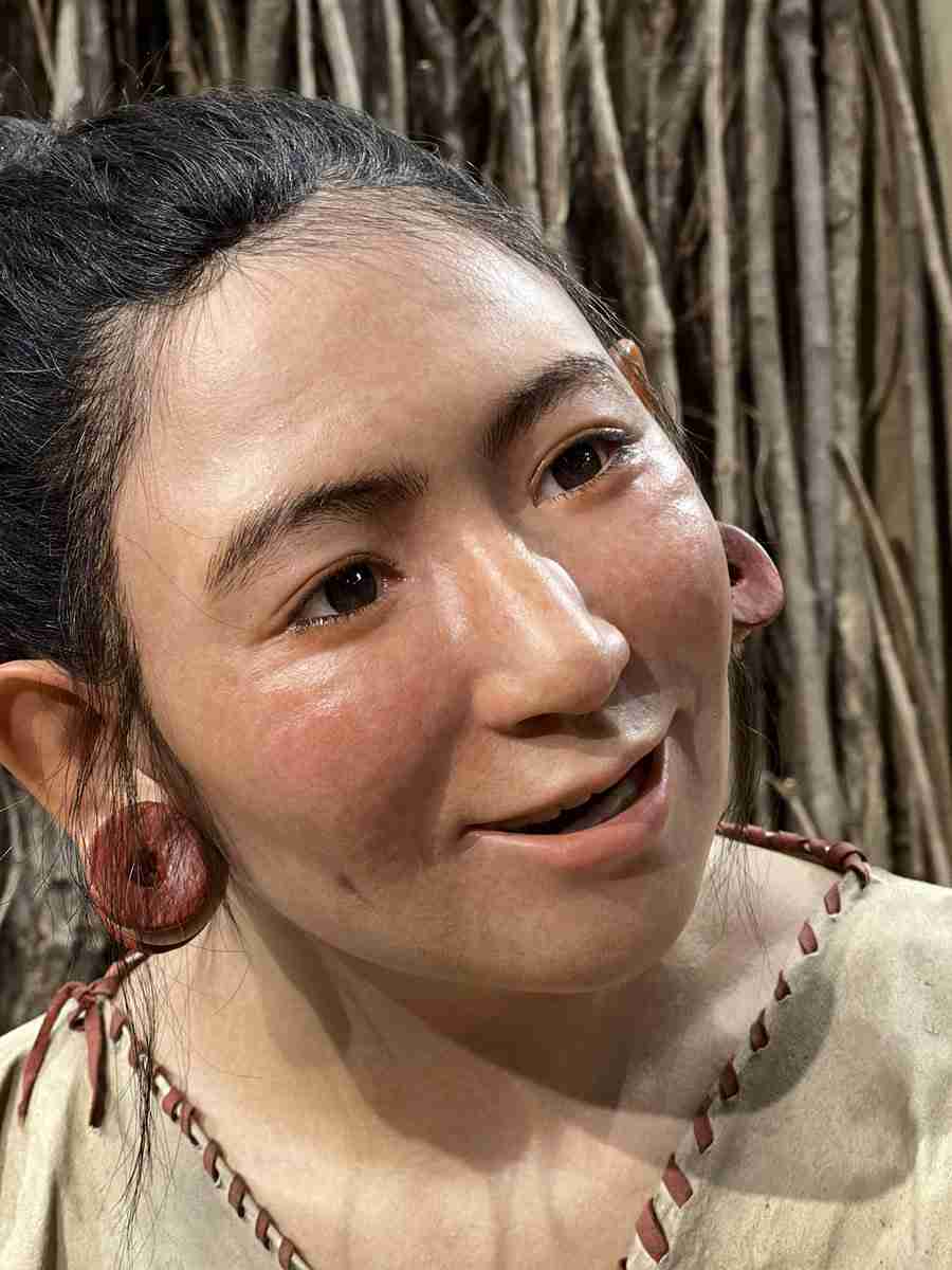 “会いに行ける縄文人”模型の「ゆきえ」さんが今にも動き出しそうなリアルさ　博物館に名前の由来などを聞いた