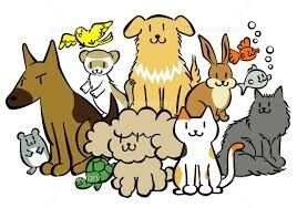 ペットを飼ってる人にありがちなこと