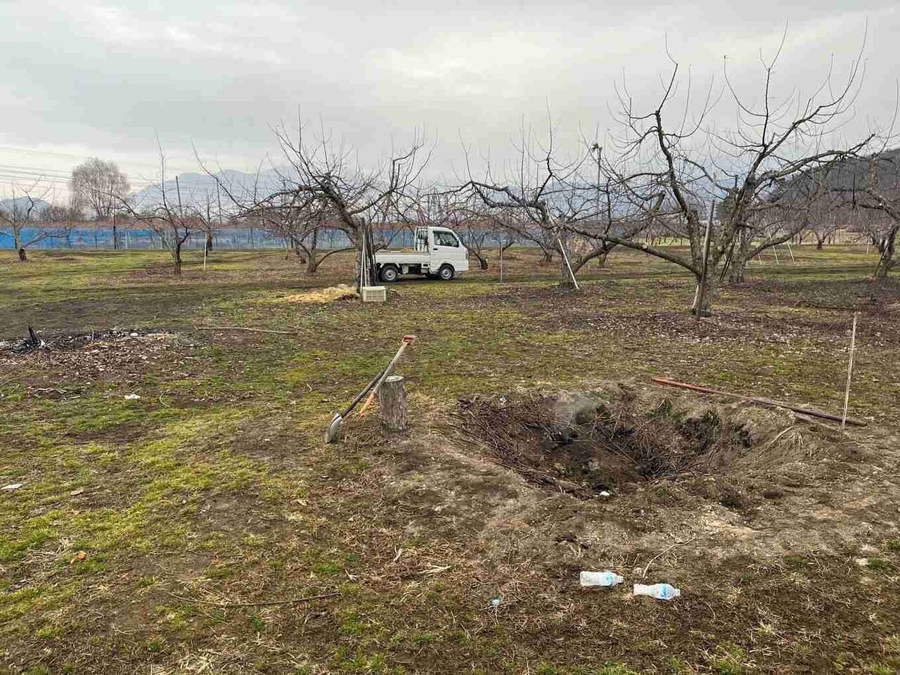 リンゴ畑で「野焼き」の穴に落ちて火が…　農作業中の下草火災相次ぐ中　枝を焼いていた79歳男性が両足を大やけどし死亡