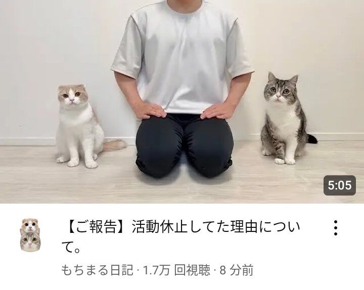 ギネス猫の人気YouTube「もちまる日記」投稿再開　活動休止「本当の理由」も明かされる
