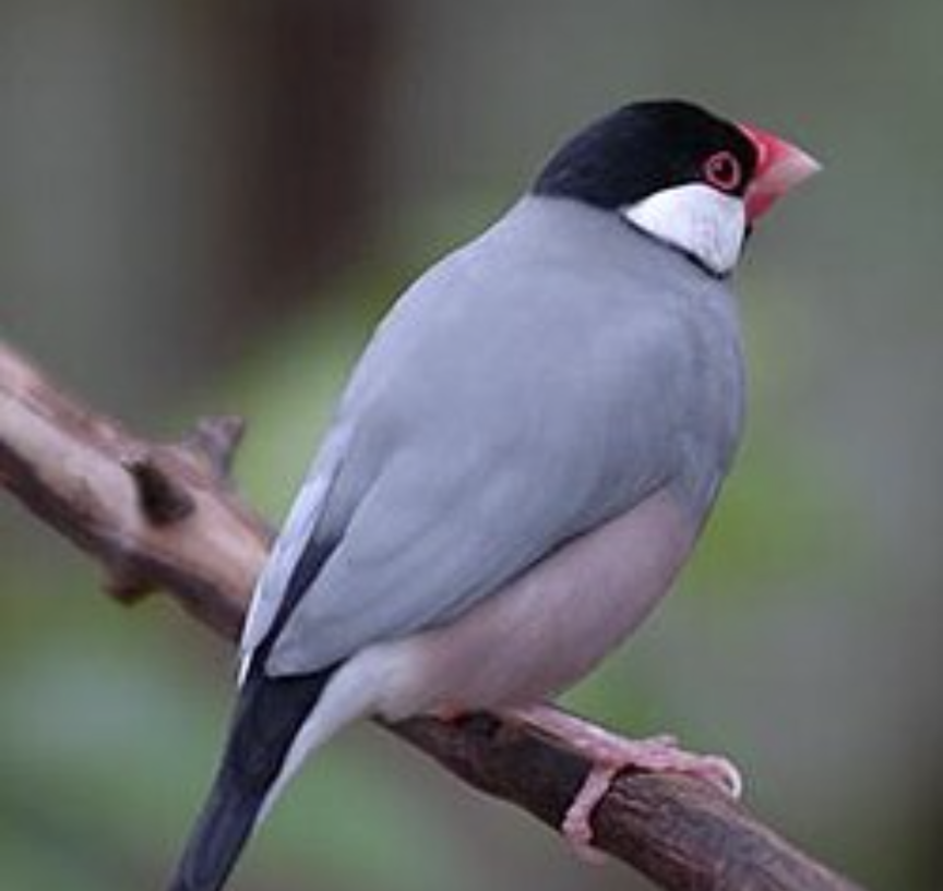 配色が神だと思うもの！