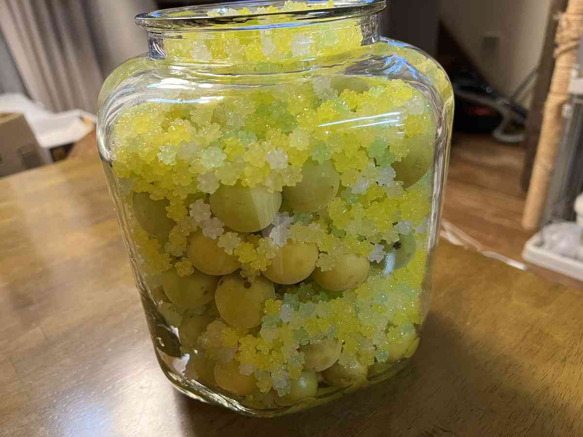 金平糖で作る“梅シロップ”の瓶がおしゃれで好評　「なんとそのような方法が！」「絵本みたいな光景」