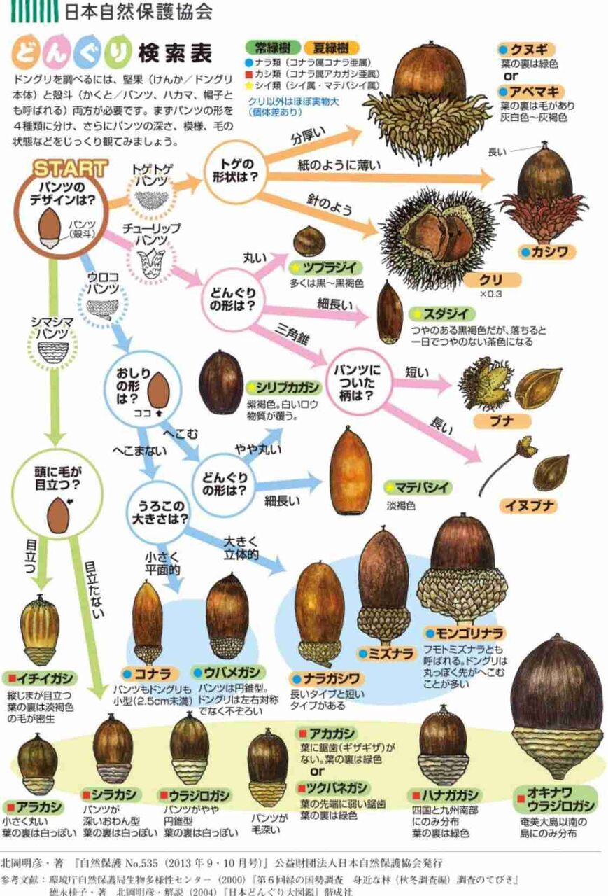 いつか誰かの役に立つかもしれない画像を貼るトピ