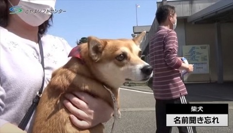 電車で寝込んだ女性を建物に連れ込み性的暴行か…男を逮捕　神奈川・JR平塚駅近く