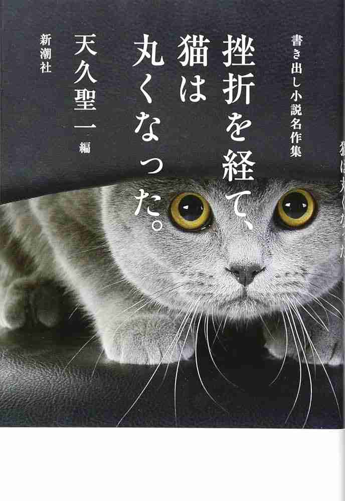 猫が登場する物語おすすめ
