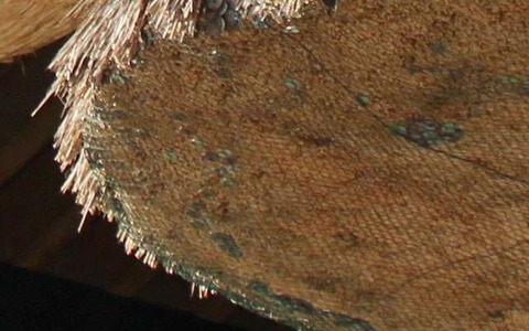 【お正月】よく行くスーパー、営業してる？