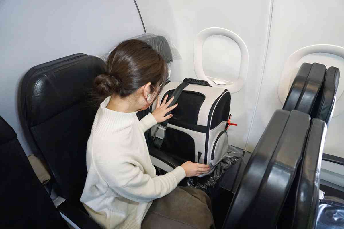 羽田事故受け日航がペット同伴を検討　現行は1社のみ、アレルギーや苦情で慎重姿勢根強く