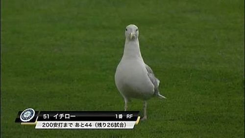 プロ野球の面白い画像が自然と集まってくるトピ