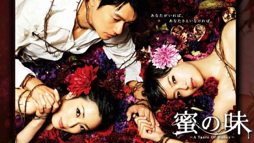 菅野美穂の出演作で一番好きな作品